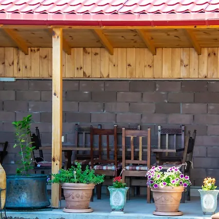 Casa Livia Pensión Două Mai